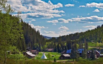 A Taste of the Wild West