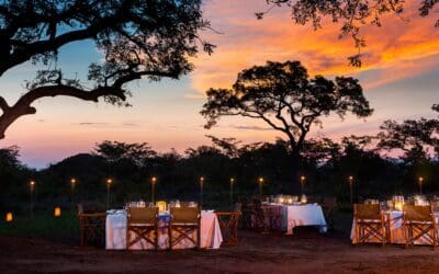 A ‘Walk on the Wild Side’ at Ulusaba