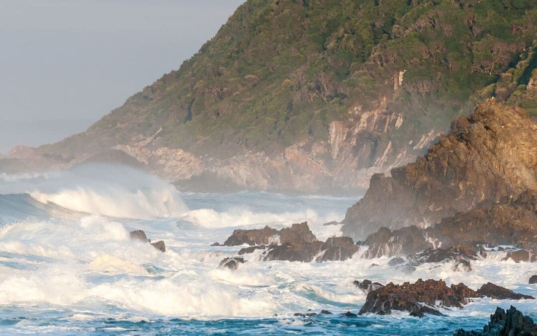 South Africa’s Amazing Southern Coast