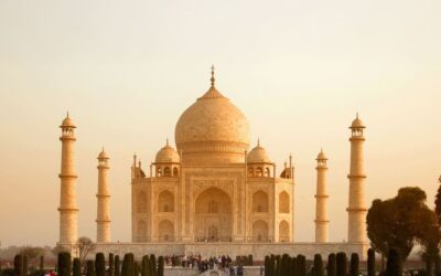 Tiger Trails, Temples and Mughal Palaces