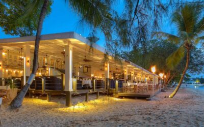 From Catch of the Day to Caribbean Curry: Where to Eat in Barbados